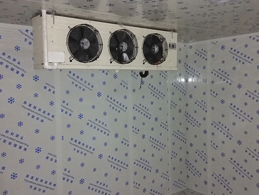 宜昌元喜精品水果保鮮庫(kù)2.jpg